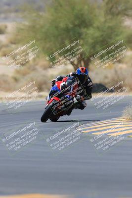 media/May-14-2023-SoCal Trackdays (Sun) [[024eb53b40]]/Turn 5 Tree of Life (1125am)/